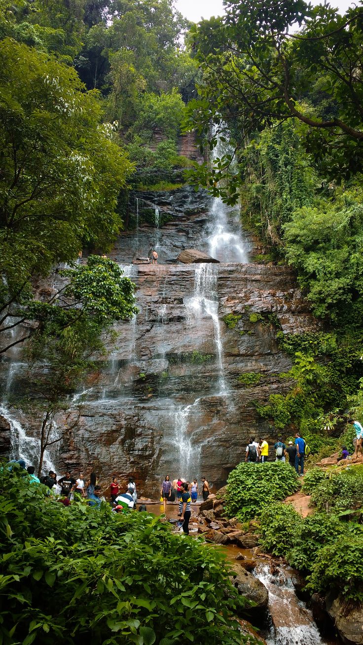 Chikmagalur Tour Package